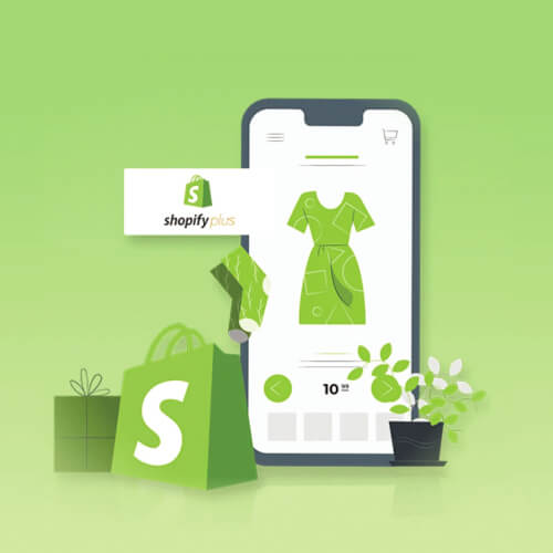 Custom Shopify Plus App Development & API Integration